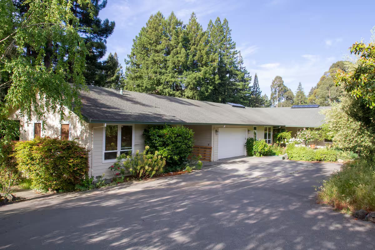 Retreat exterior beneath tall trees