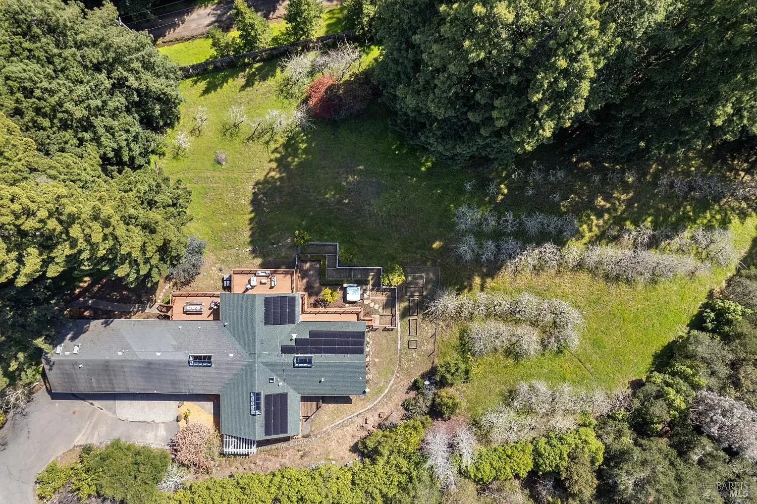 Aerial view of the house and orchard clearing