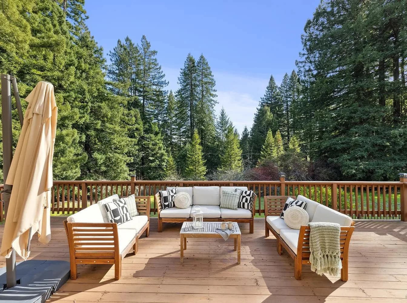 Outdoor lounge deck surrounded by redwoods
