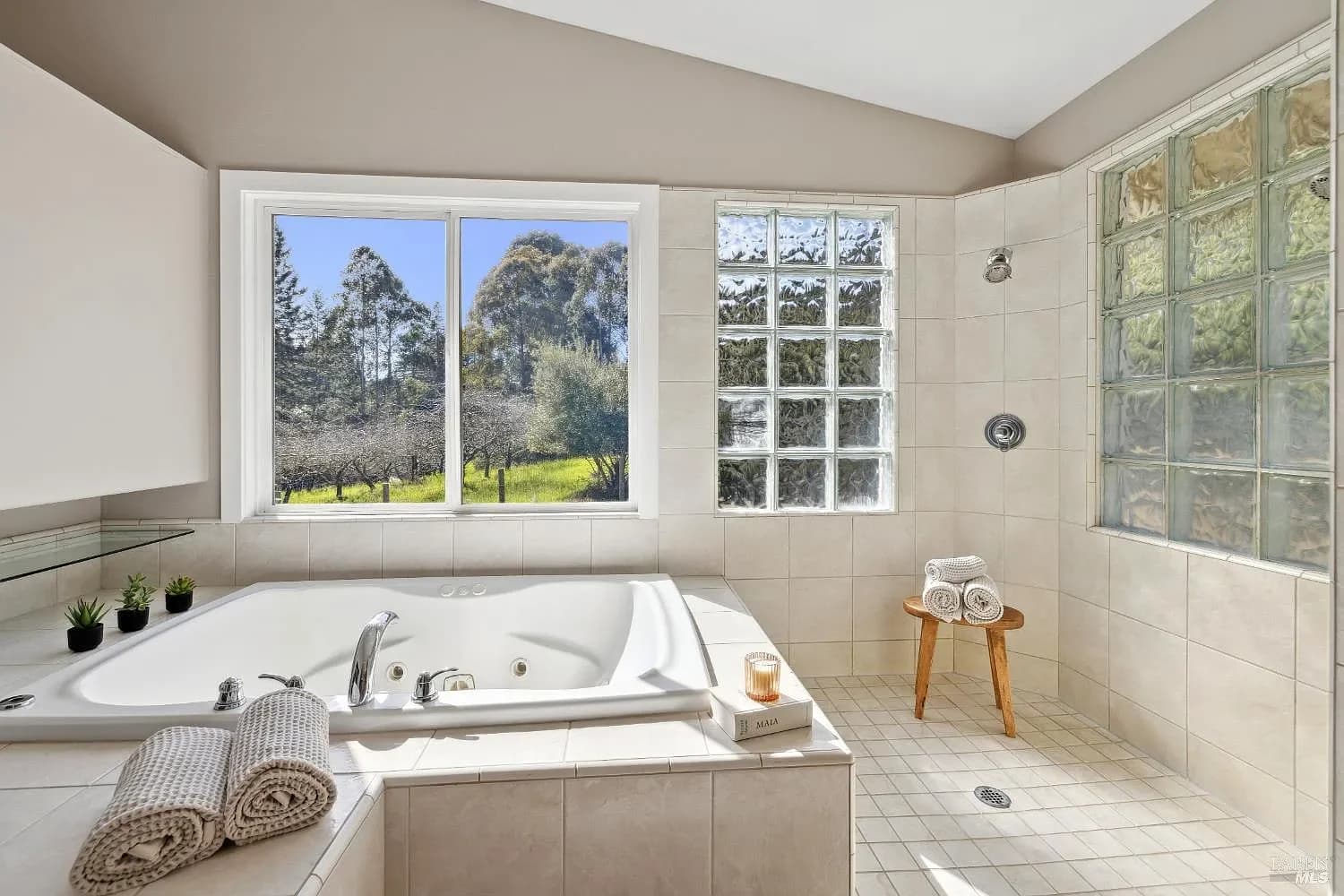 Primary bathroom with soaking tub and glass-block shower