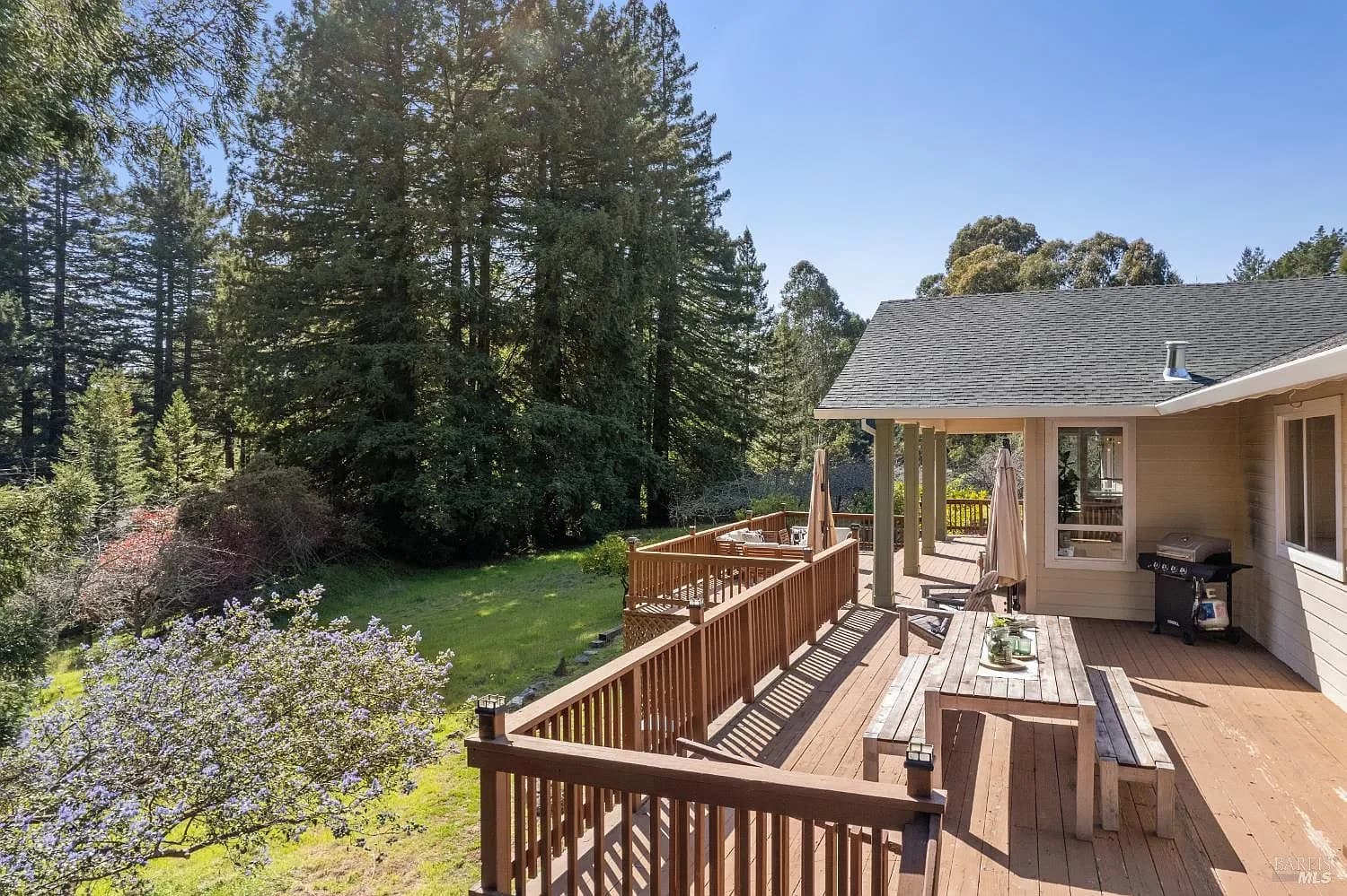 Rear deck overlooking the lawn and orchard
