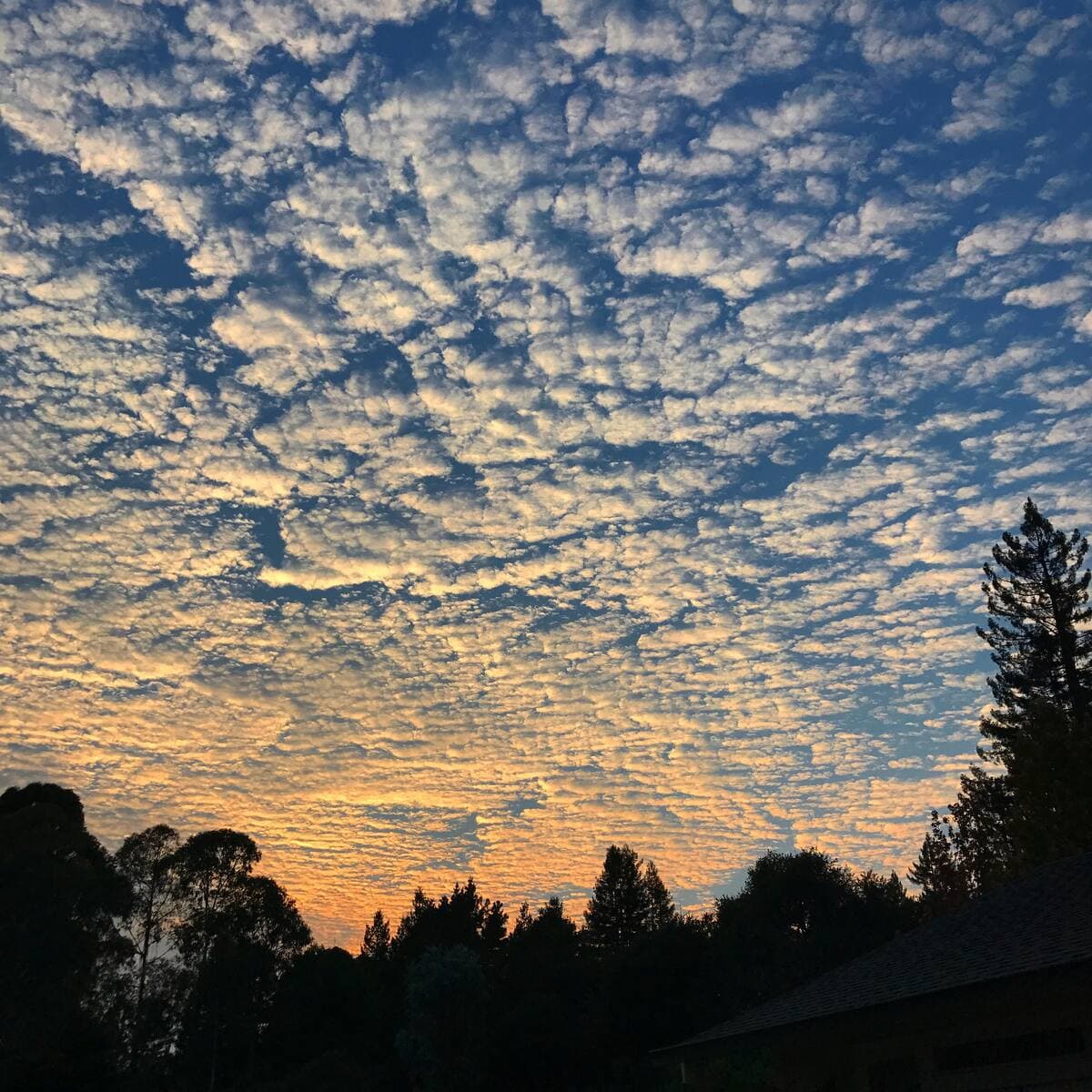 Evening sky over West Sonoma County